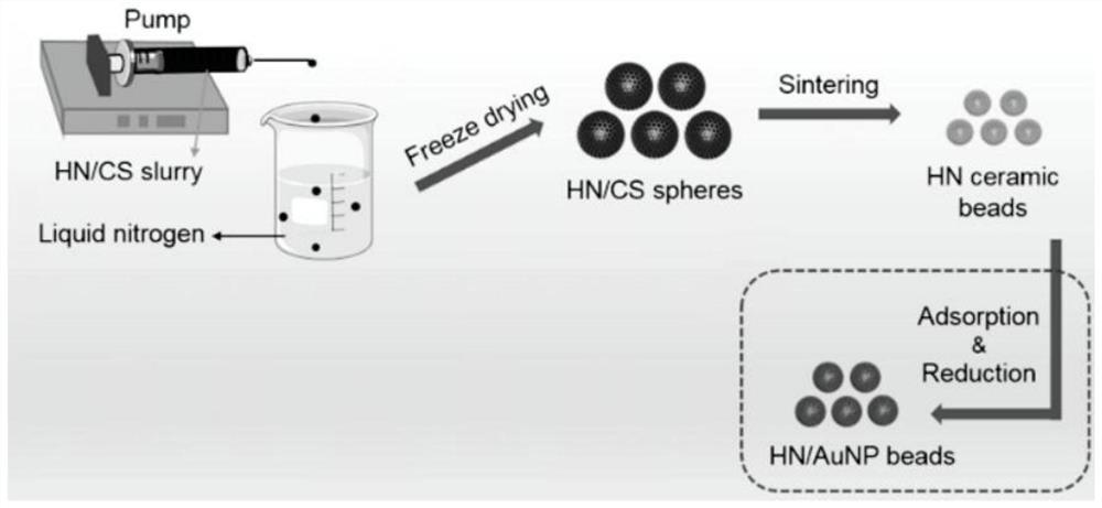 Preparation method and application of hydroxyapatite nanowire sintered porous ceramic beads