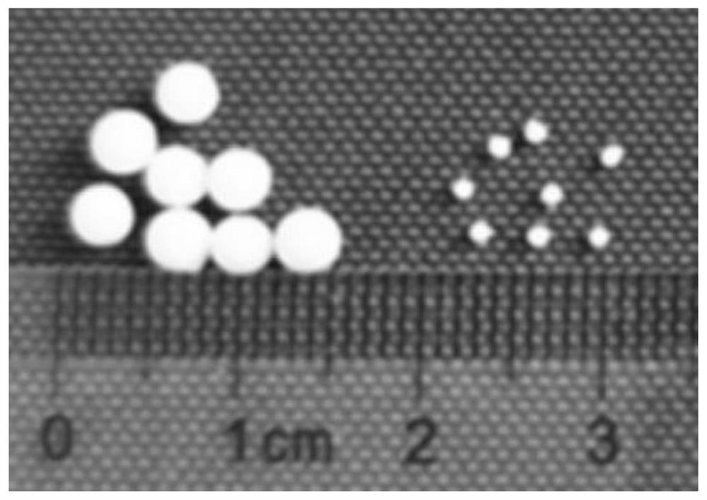 Preparation method and application of hydroxyapatite nanowire sintered porous ceramic beads