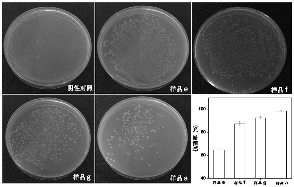 A kind of nano magnesium oxide inorganic antibacterial agent and preparation method thereof