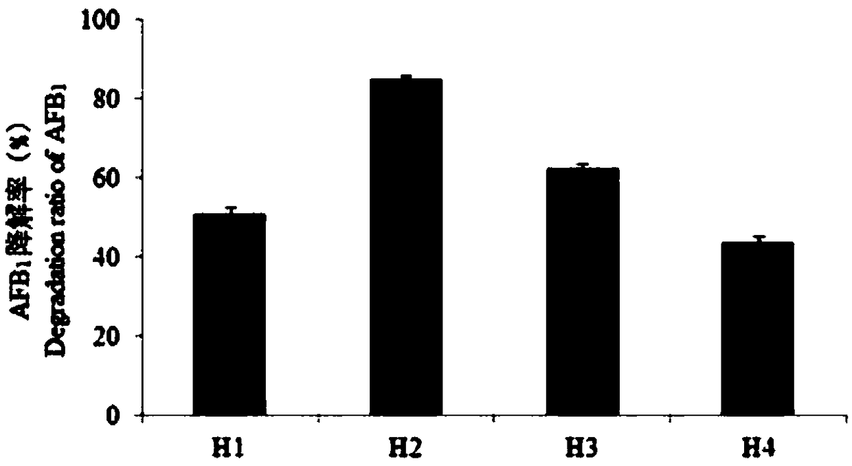 Culture medium for screening and identifying aflatoxin B1 degrading bacteria and screening and identifying method