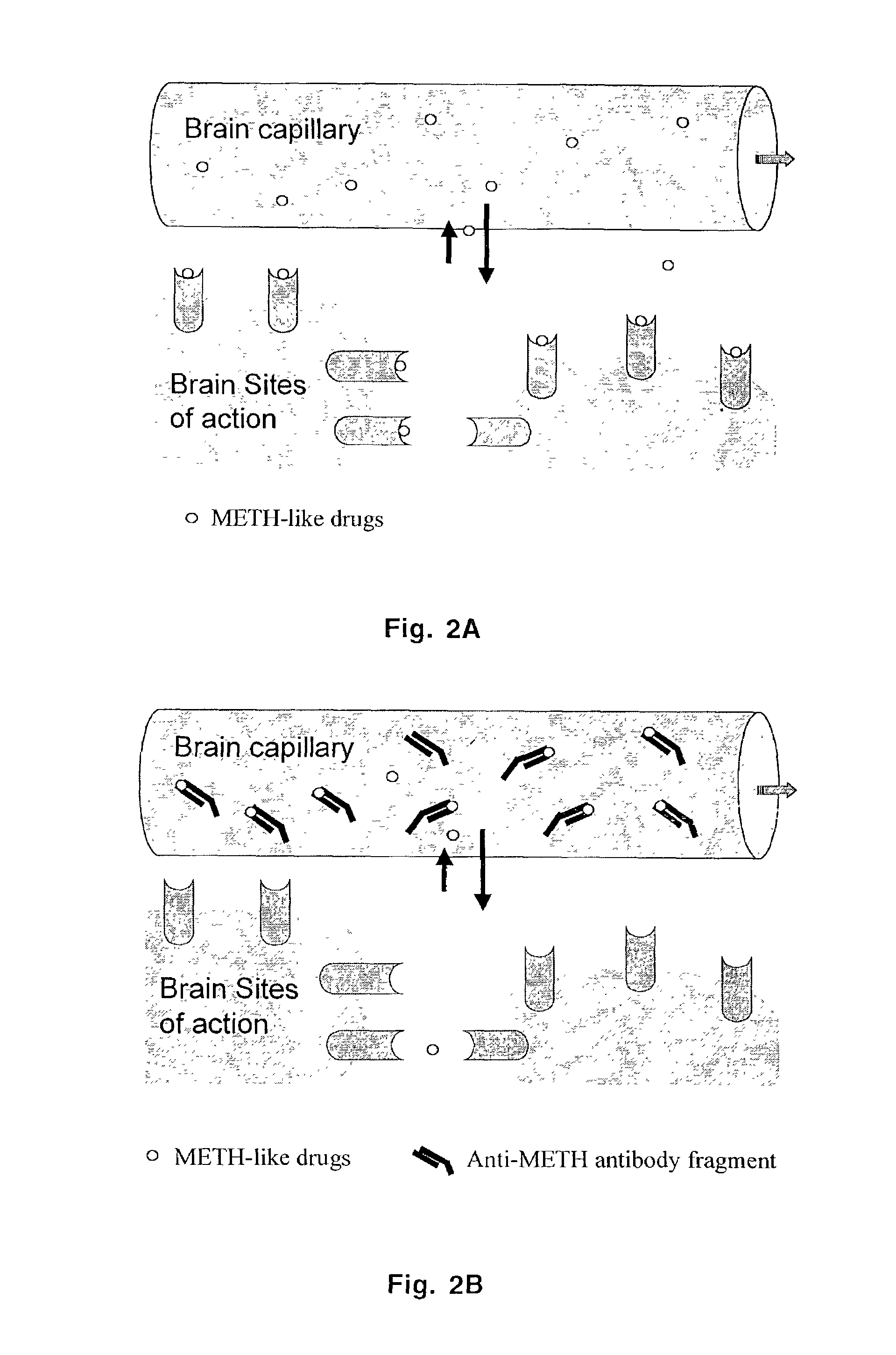 Monoclonal antibody antagonists for treating medical problems associated with d-amphetamine-like drugs