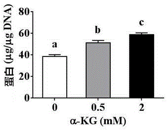 Application of alpha-oxoglutarate in respect of preparing pig feed additive
