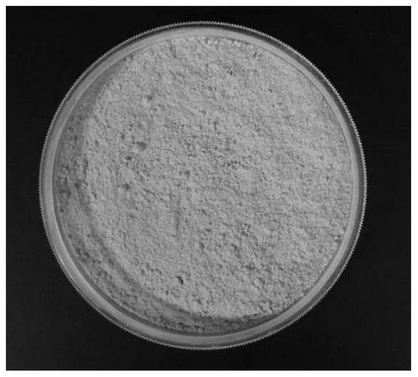 Modification method of wheat aleurone layer powder and product thereof