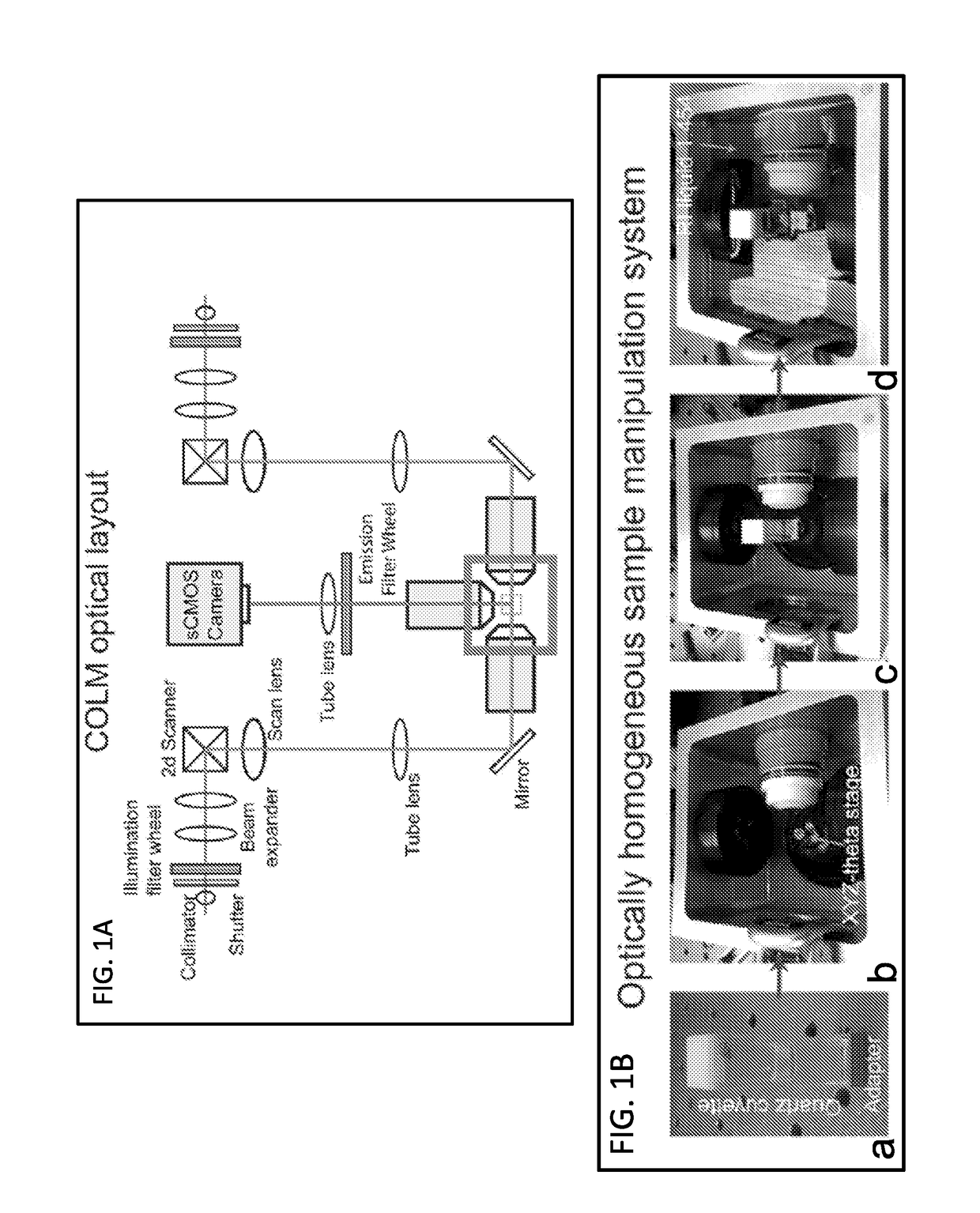 Methods and Devices for Imaging Large Intact Tissue Samples