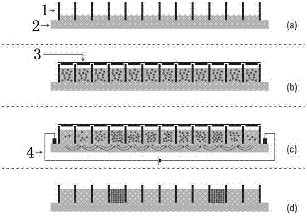 Polypeptide mixture isoelectric focusing separation method for proteomics analysis