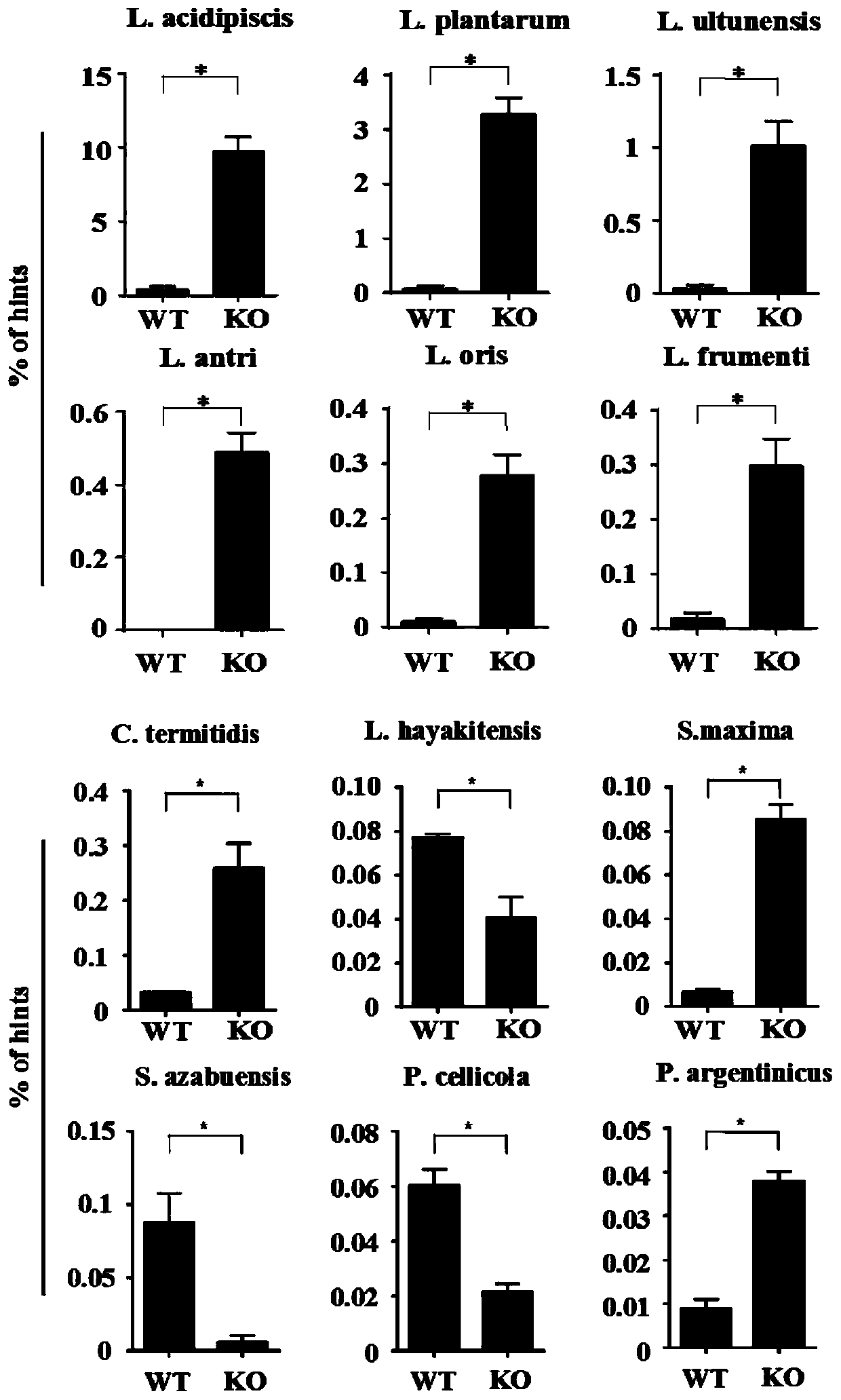 Application of lactobacillus acidipiscis for preparing medicine capable of preventing or treating autoimmune diseases