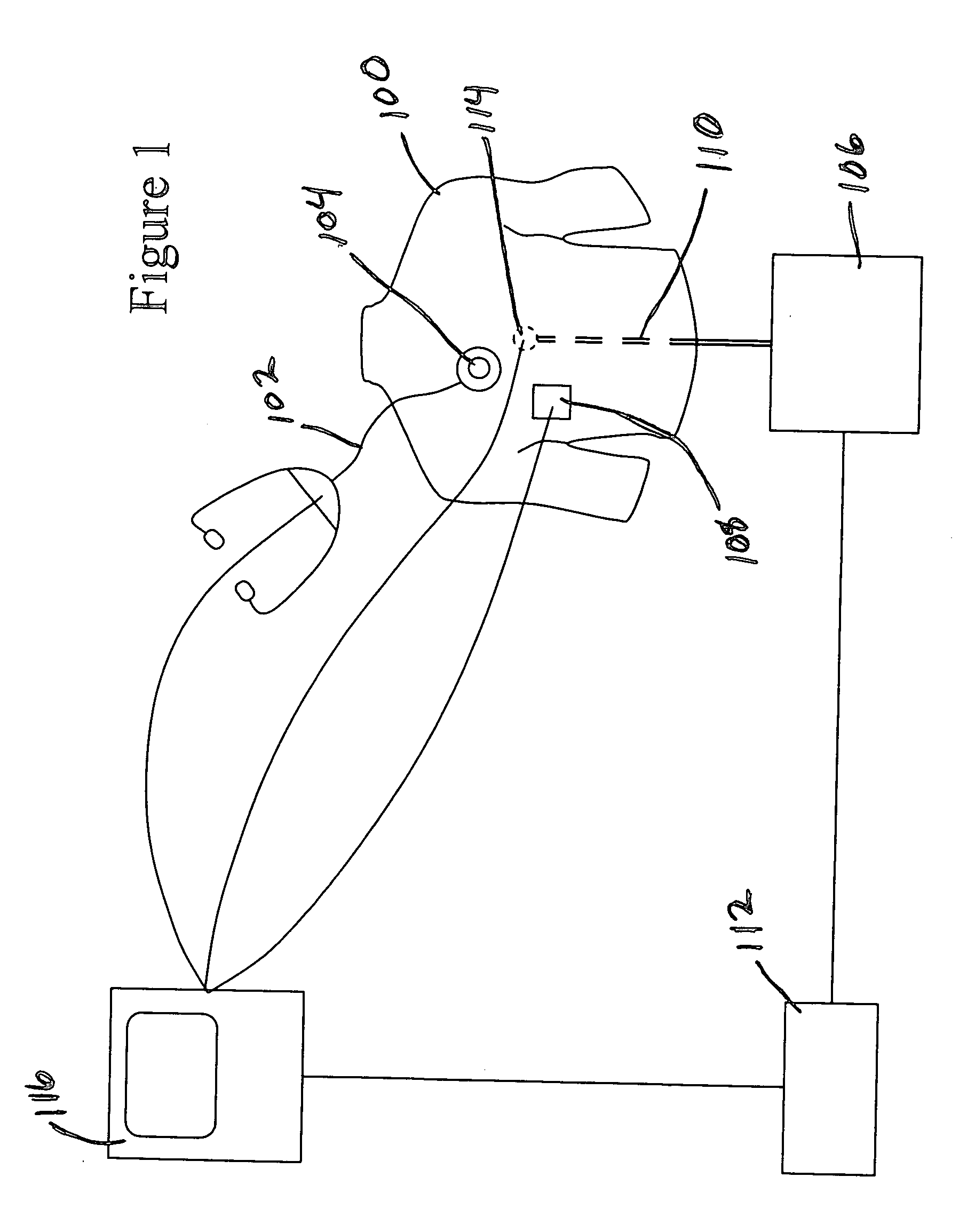 Electronic stethoscope measurement system and method