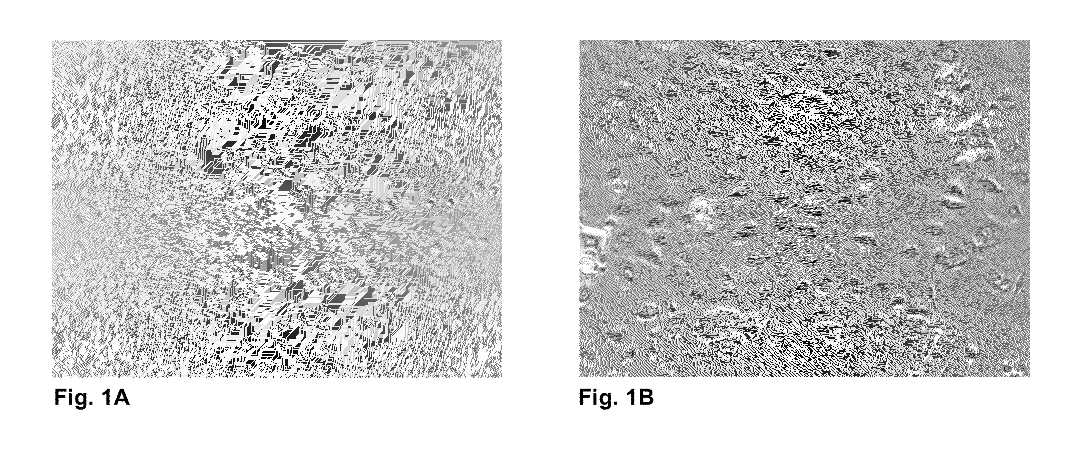 Cell Compositions and Methods for Hair Follicle Generation