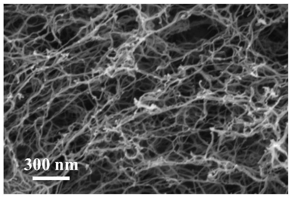 Functionalized self-assembly miRNA/polypeptide composite hydrogel suitable for cartilage regeneration and preparation method thereof