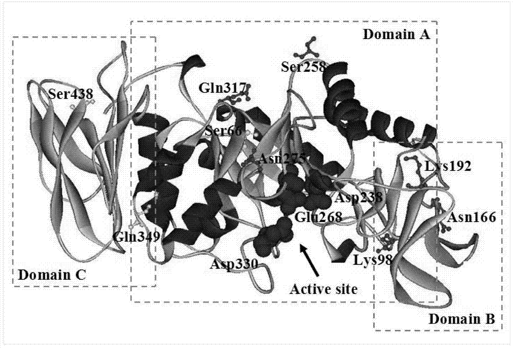 Higher-heat-stability amylase mutant, and preparation method and application thereof