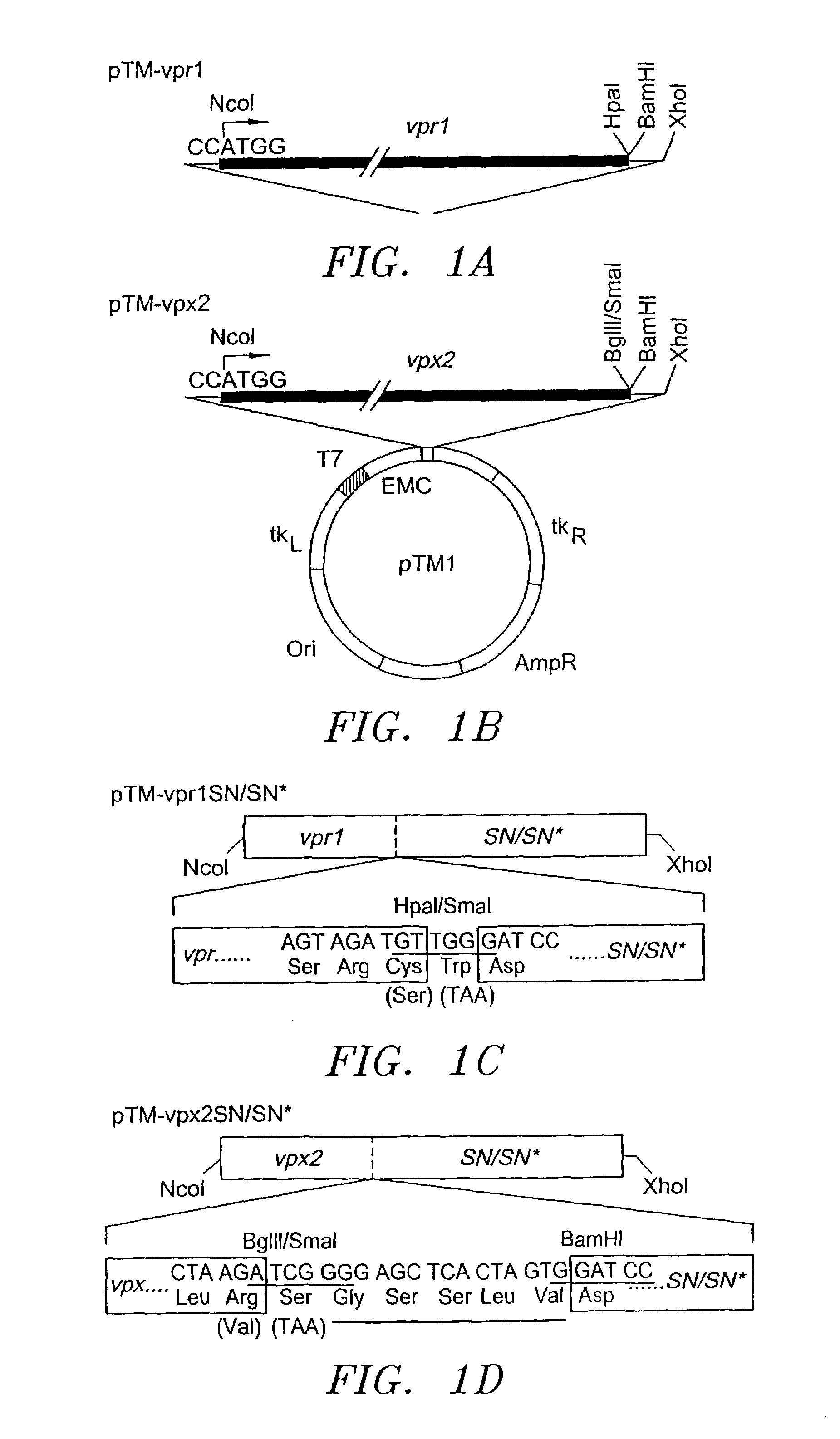Fusion protein delivery system and uses thereof