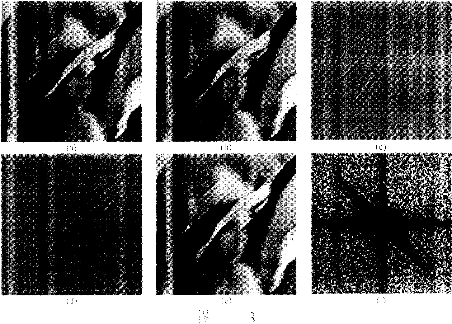Noise-possessing movement fuzzy image restoration method based on radial basis nerve network