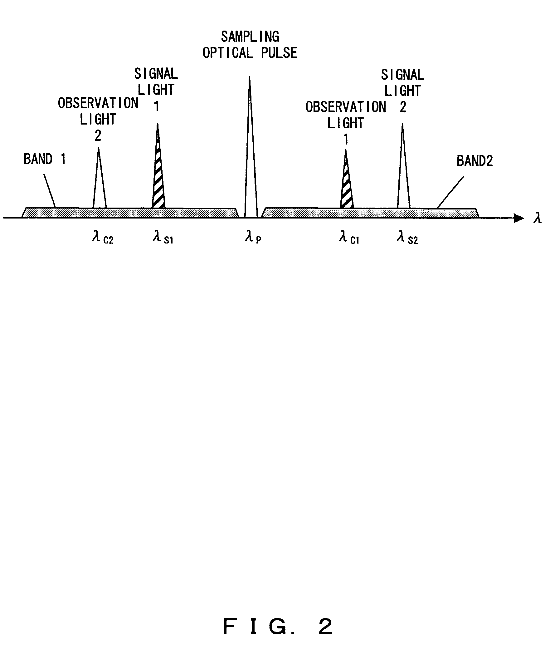 Optical waveform monitor apparatus and oscilloscope