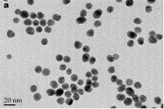 Nanogold colorimetric method for detecting mercury ions