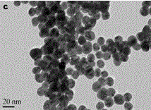 Nanogold colorimetric method for detecting mercury ions