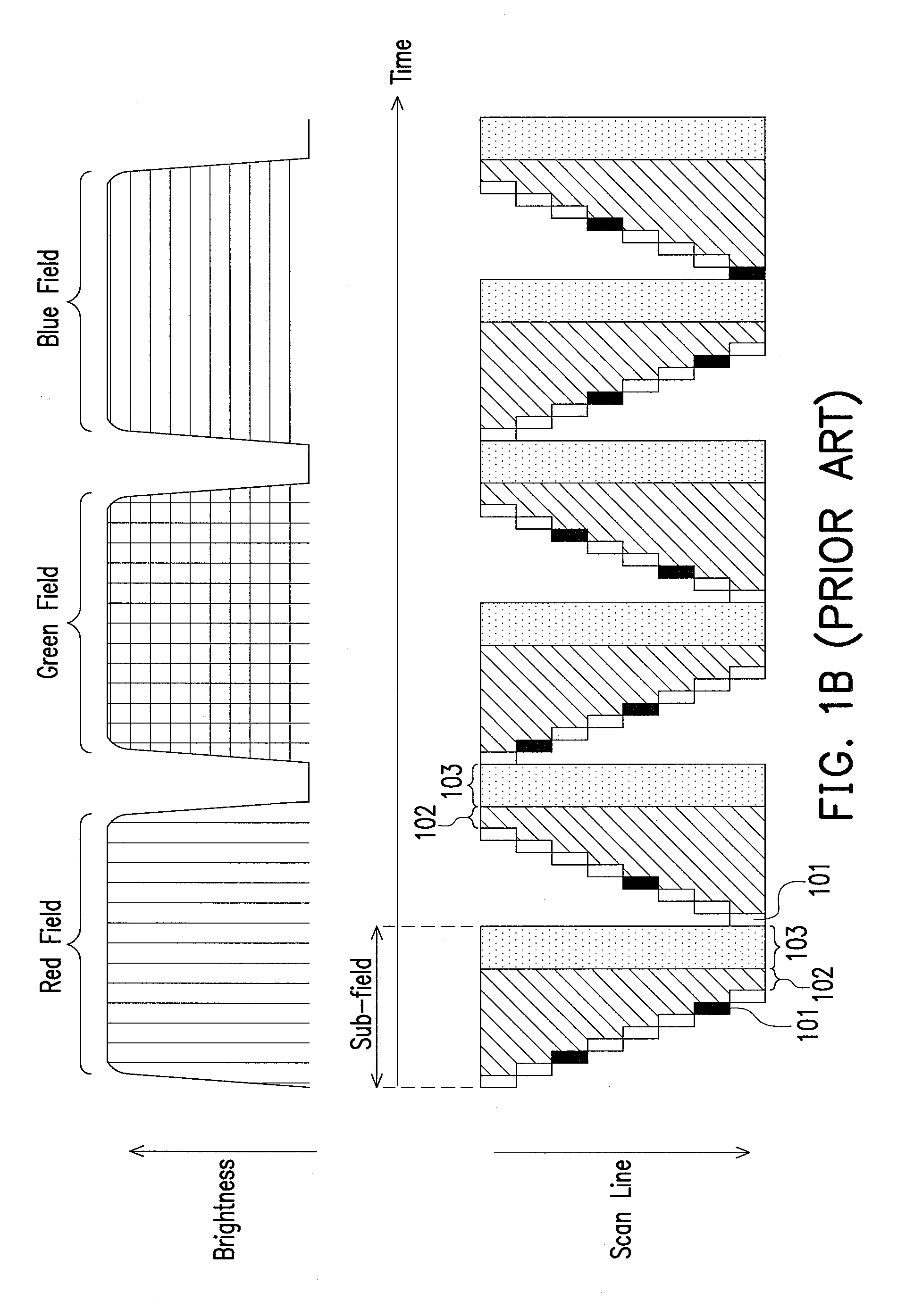 Driving method of field sequential display