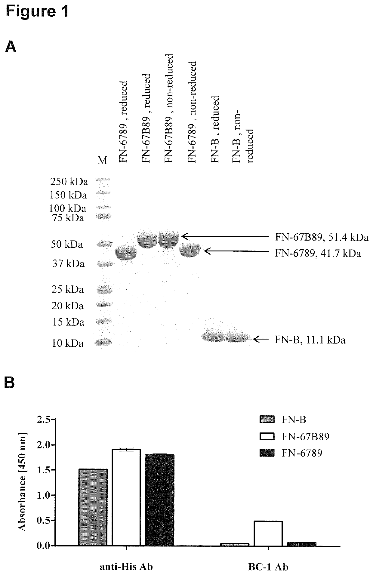 Compositions and Methods for Diagnosis and Treatment of Cancer