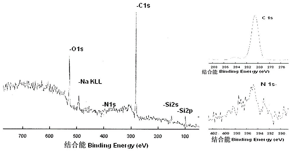 Cell culture carrier for neural stem cell culture