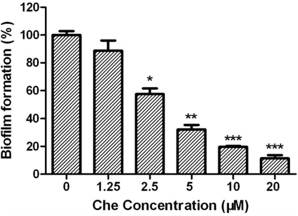 Application of chelerythrine in preparation of antifungal biofilm medicines