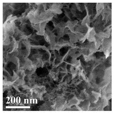 Ultrathin calcium silicate nanosheet with ultrahigh specific surface area and preparation method thereof