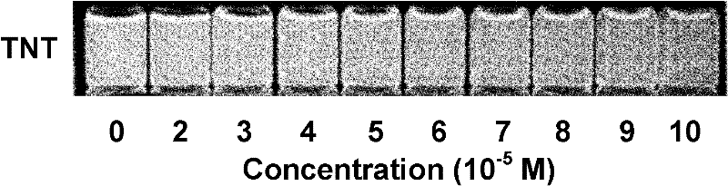 Double colour fluorescent chemical sensor used for visually detecting explosive and manufacturing method thereof