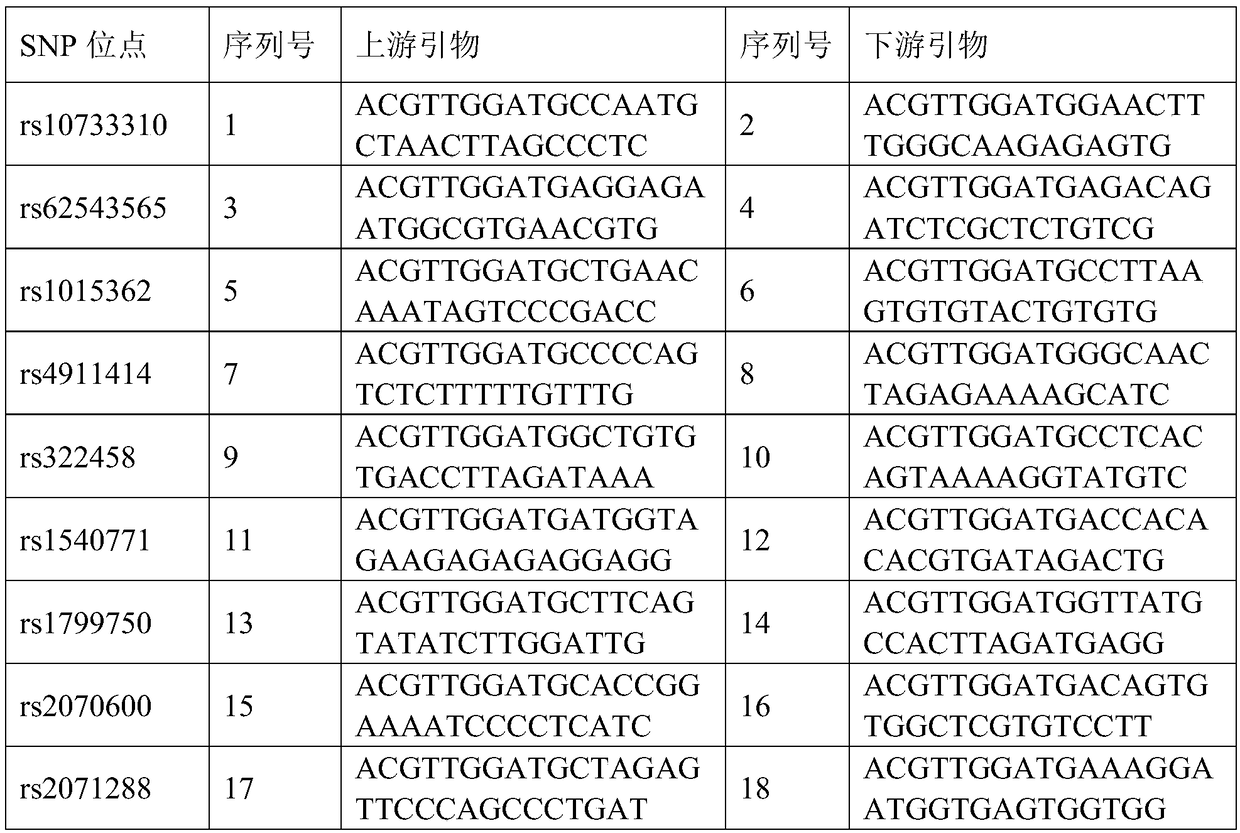 Complete-set primer applied to detecting of skin aging related susceptible genes SNP (single-nucleotide polymorphism) and application thereof