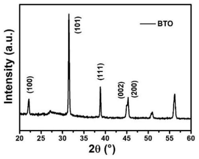Bismuth/barium titanate heterojunction for enhancing sonodynamic tumor resistance and preparation method thereof