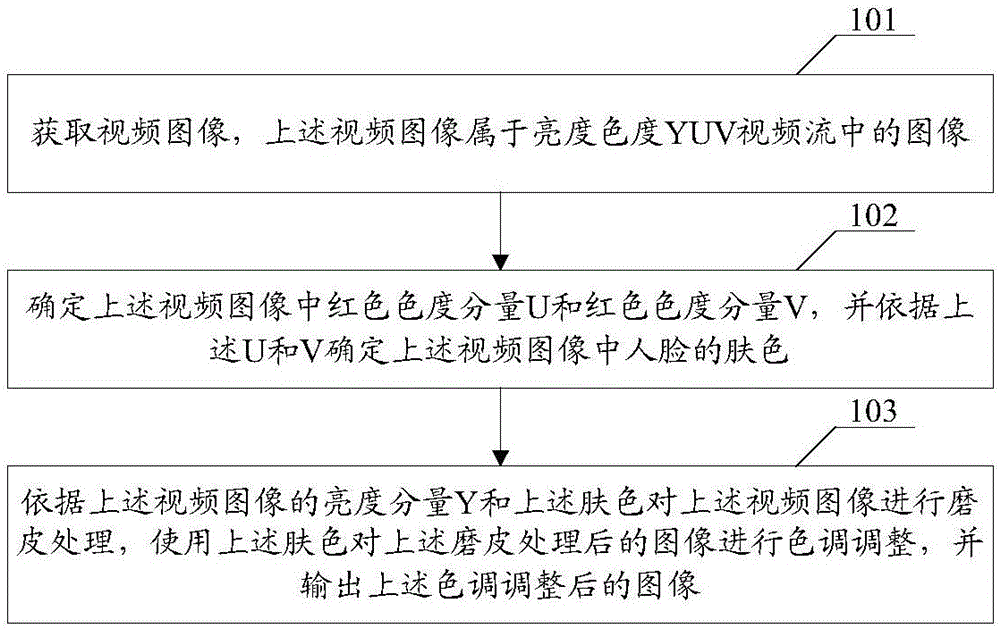 Video image processing method and device