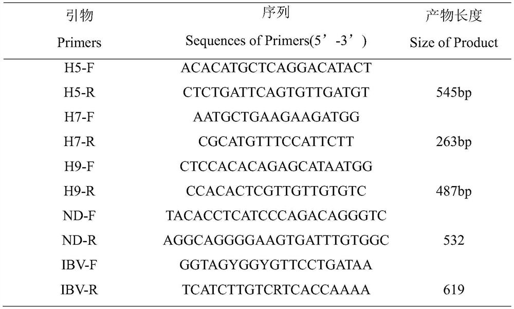 Isolation, Identification and Application of a H9N2 Subtype Avian Influenza Virus Strain of Avian Origin