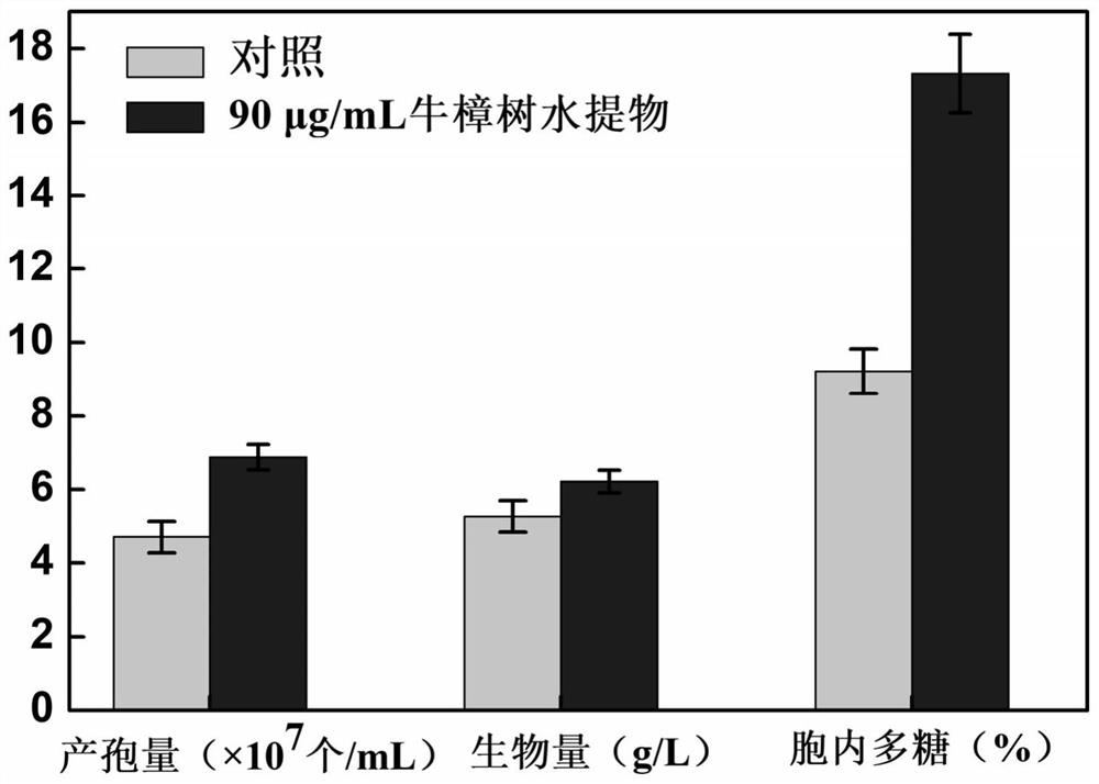 Method for promoting deep fermentation spore production and sugar production of antrodia camphorata by adding cinnamomum kanehirai extract