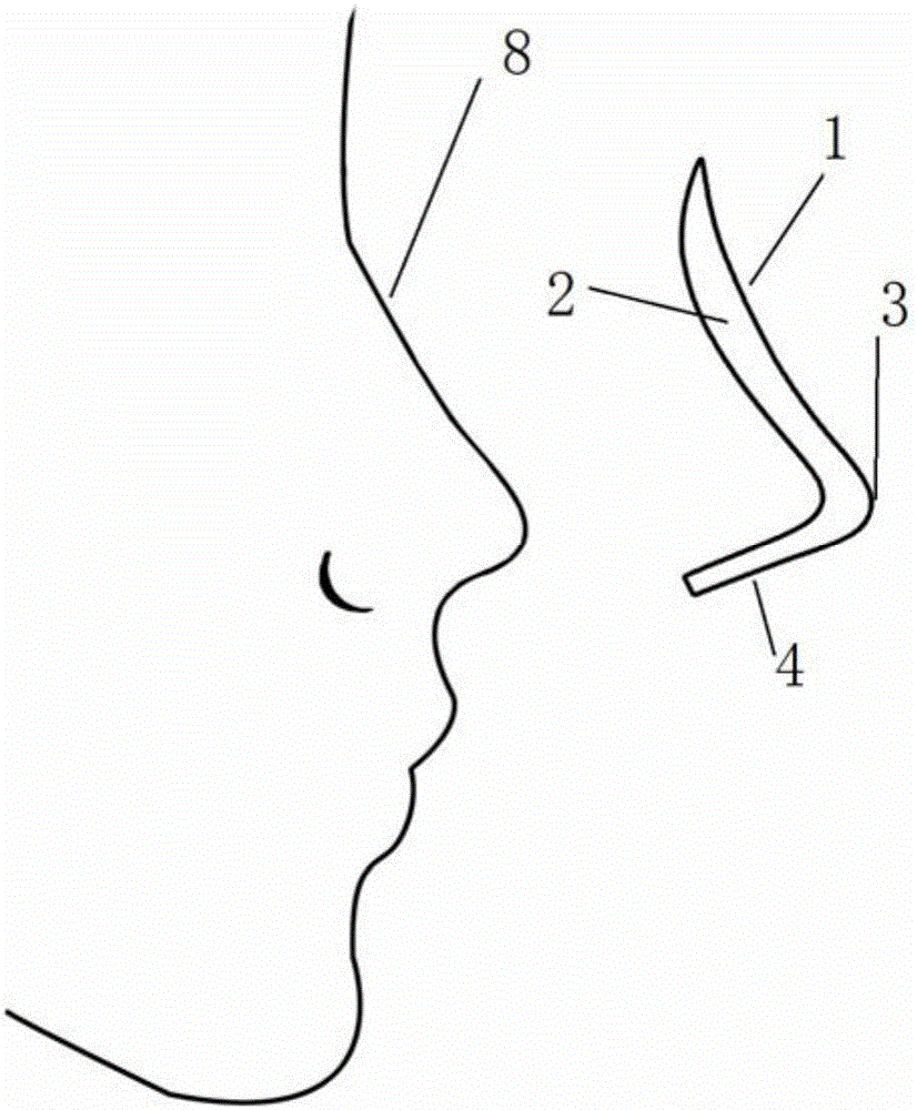 Nose prosthesis and manufacturing method thereof