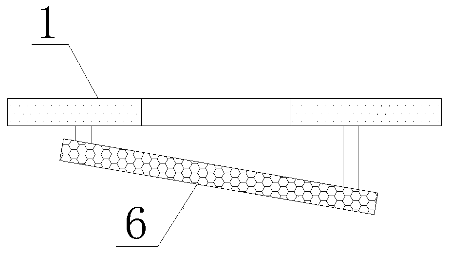 Trichosanthes seed adhesive article separation cleaning device after trichosanthes sectioning