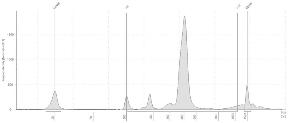 A universal high-throughput sequencing linker and its application