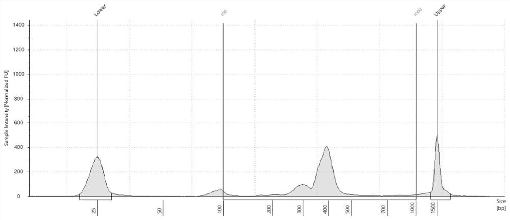 A universal high-throughput sequencing linker and its application