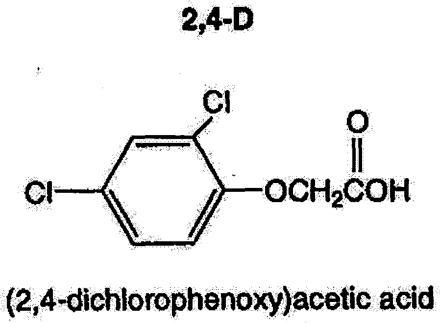 Herbicidal composition containing rimsulfuron and 2,4-dichlorphenoxyacetic-acid and application thereof