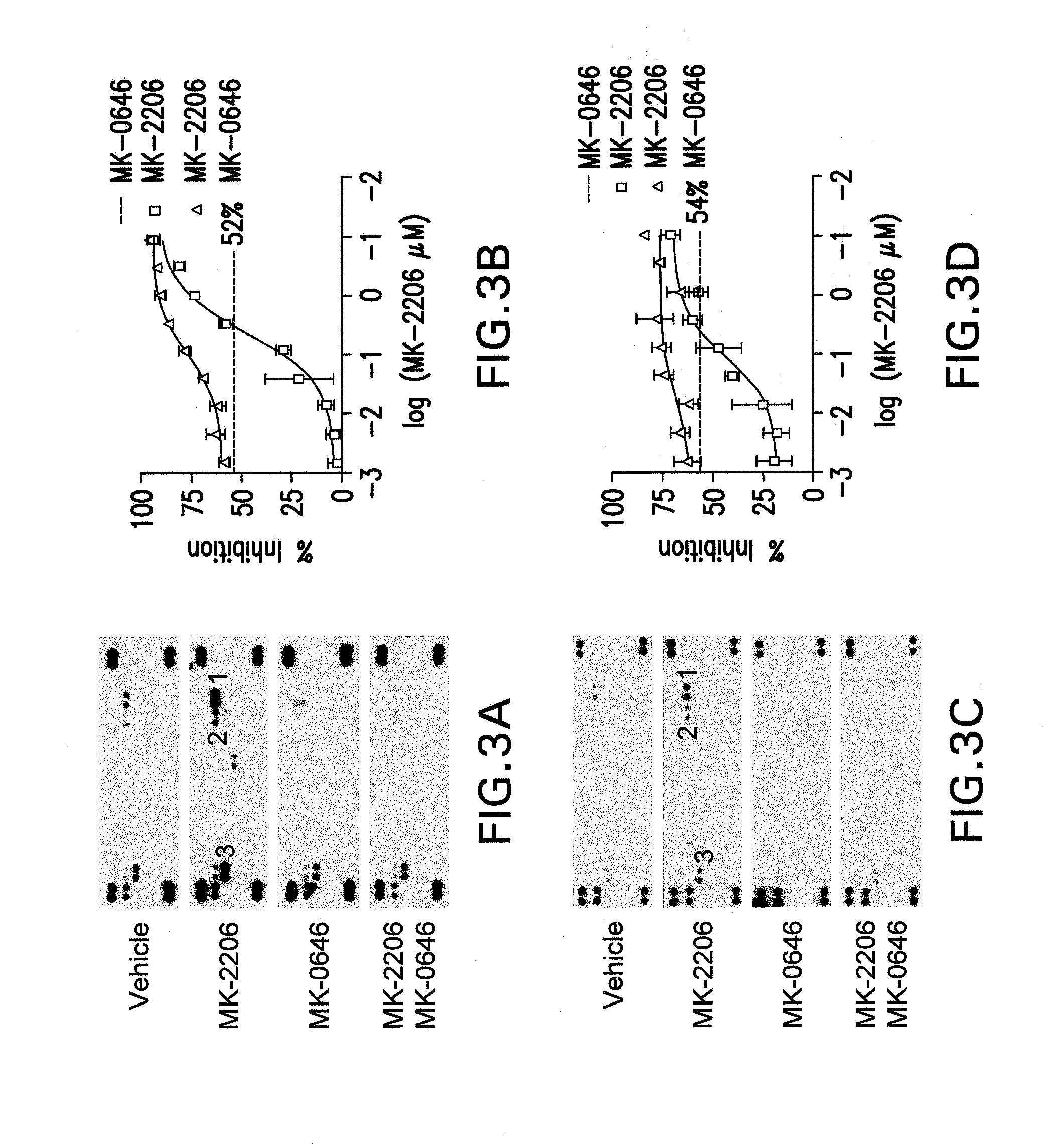 Combination therapy for treating cancer comprising an igf-1r inhibitor and an akt inhibitor