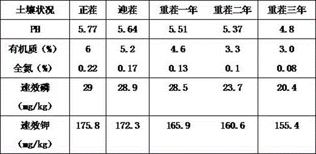 Microbial agent for improving soybean continuous cropping barrier