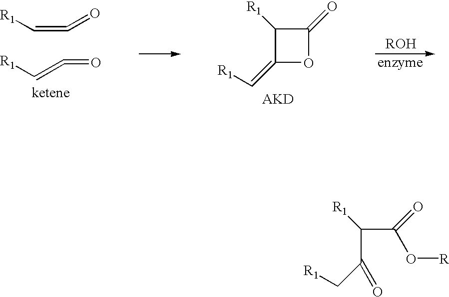 Esterified polysaccharide products and beta-lactone ring opened ketene dimer products containing the compositions, and process of making the same