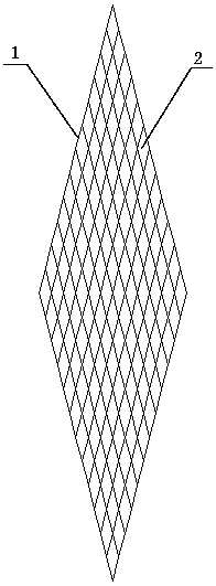 Diversion net for vacuum perfusion and preparation method and application thereof