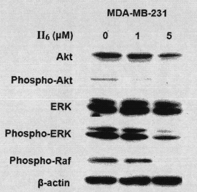 Nitric oxide donor-type farnesyl thiosalicylic acid derivative, and preparation method and medical application thereof