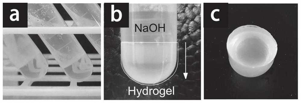 A kind of chitosan/polyethylene glycol hydrogel and its preparation method and application
