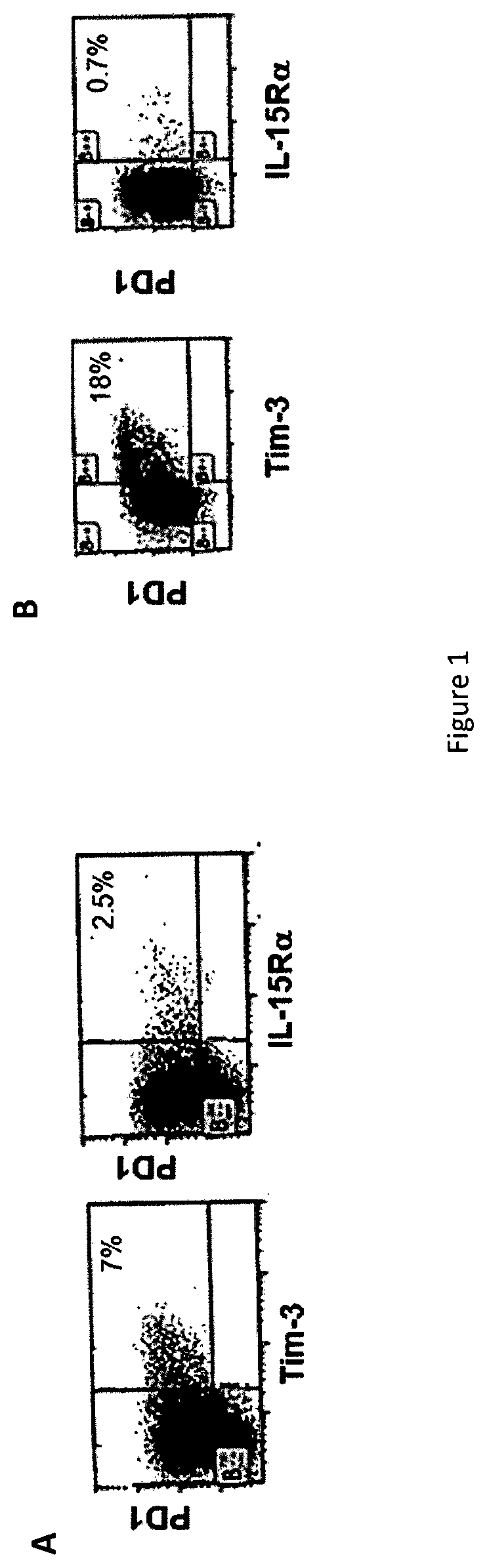 IL-15 and IL-15RAPLHA sushi domain based immunocytokines