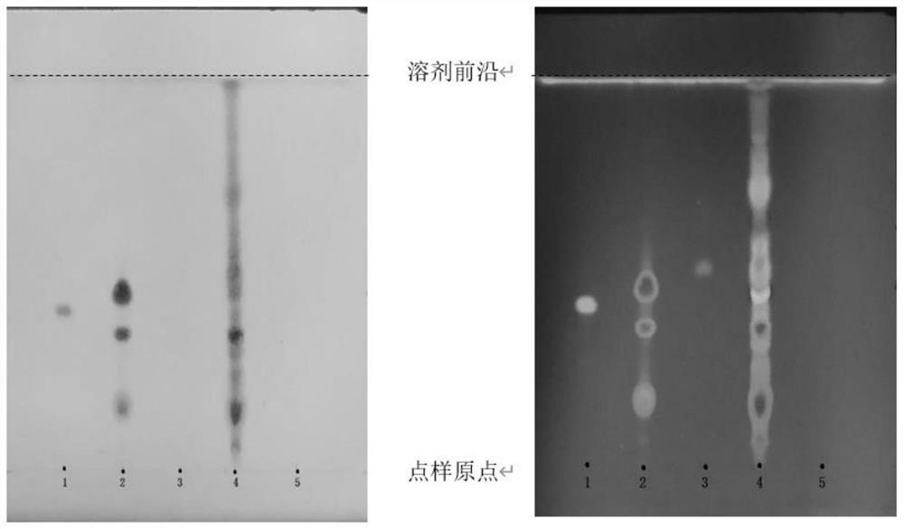 TLC identification method for extracts and preparations of Baoyuan decoction and its similar prescriptions