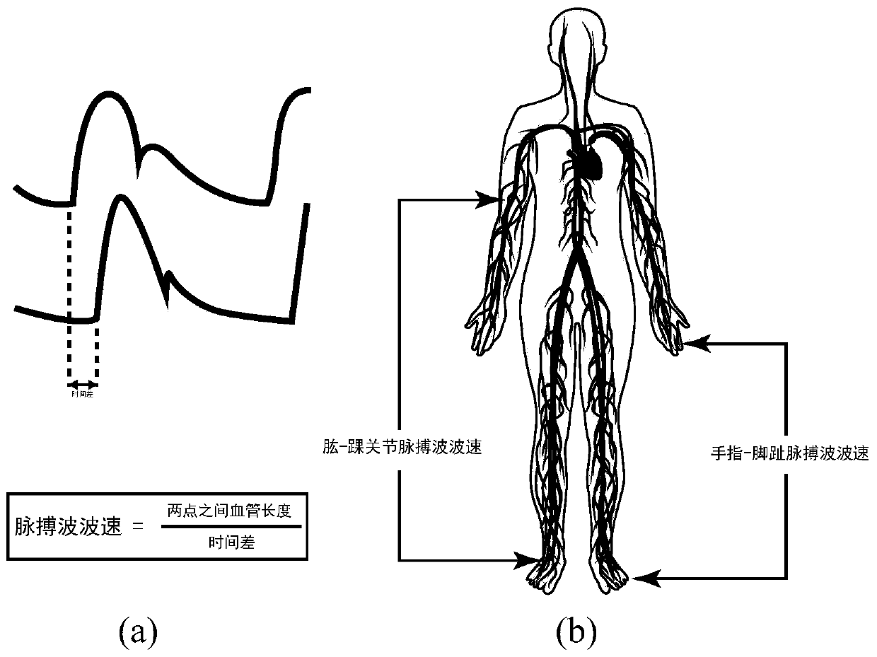 Vascular guided wave elastography method and system based on machine learning