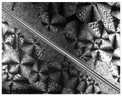 Levorotatory polylactic acid traversing column crystals and preparation method therefor