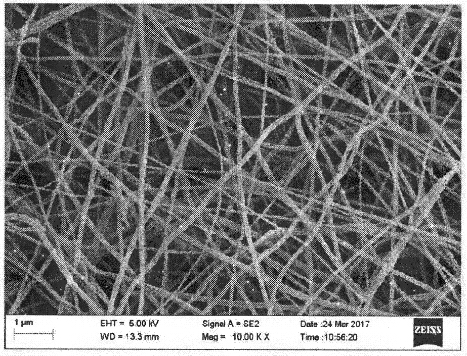 Nanofiber catalyst and preparation method thereof