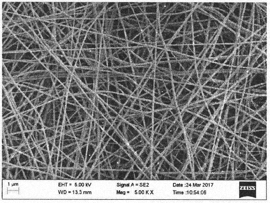 Nanofiber catalyst and preparation method thereof