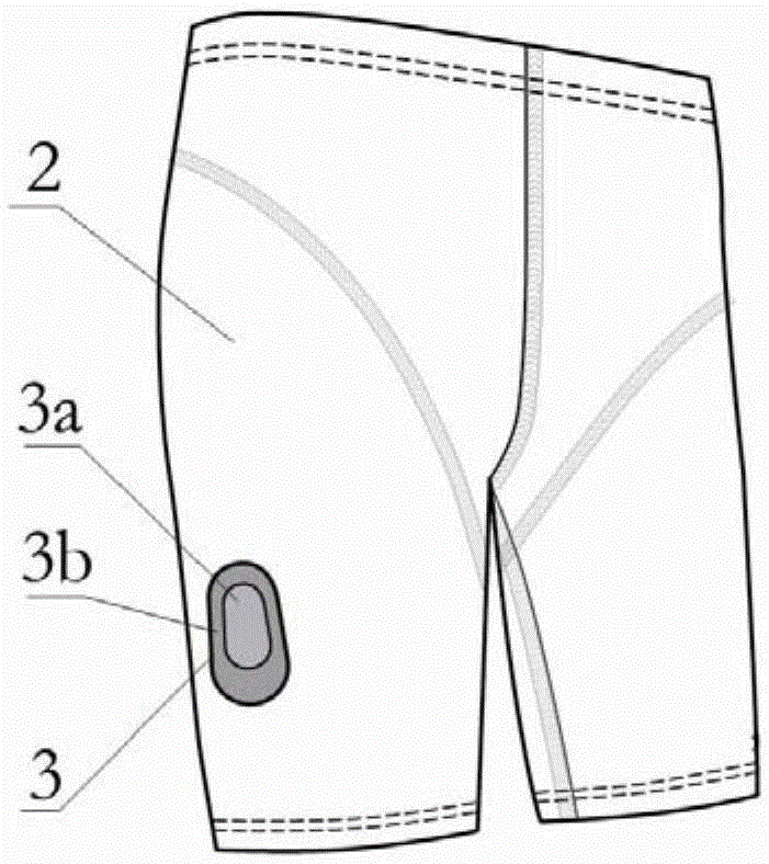 Underwear having intelligent monitoring function