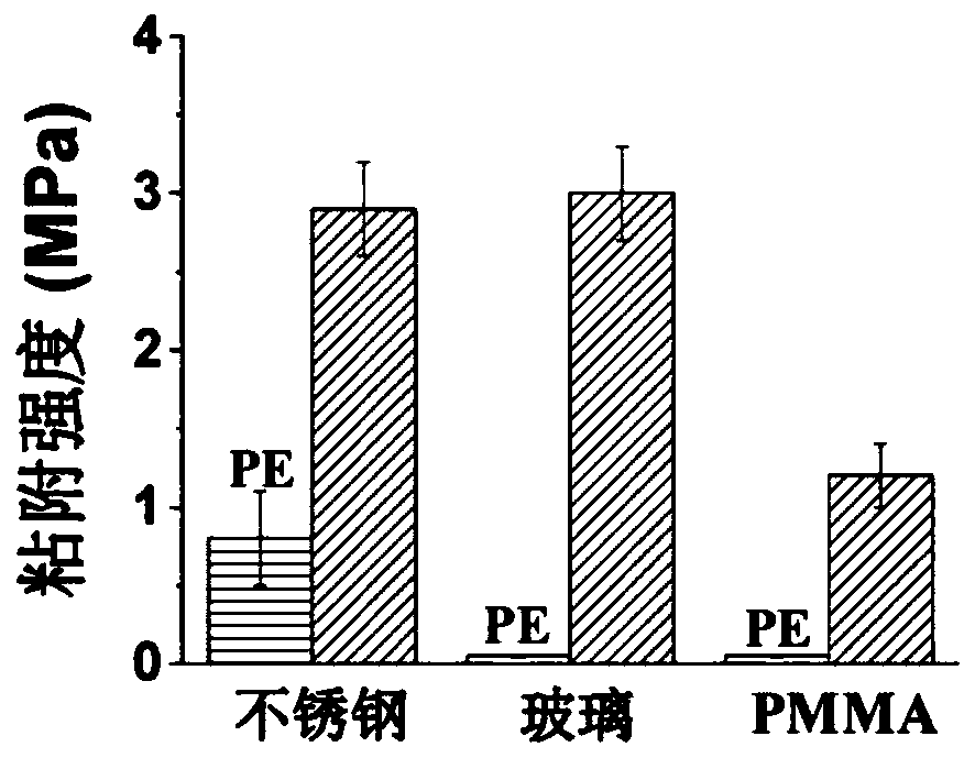 Multifunctional polar polyolefin material as well as metal complex material, preparation method and application thereof