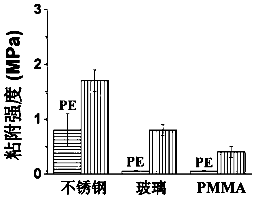 Multifunctional polar polyolefin material as well as metal complex material, preparation method and application thereof